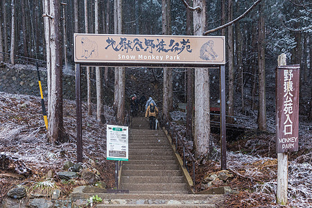 猴子温泉地狱谷温泉背景