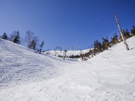 梅池高原滑雪场图片