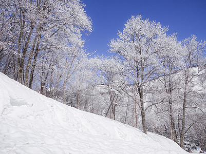 梅池高原滑雪场图片