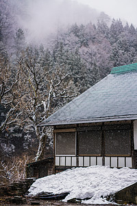 猴子温泉地狱谷温泉背景