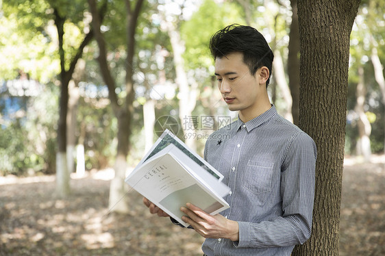 男士在树林里阅读图片