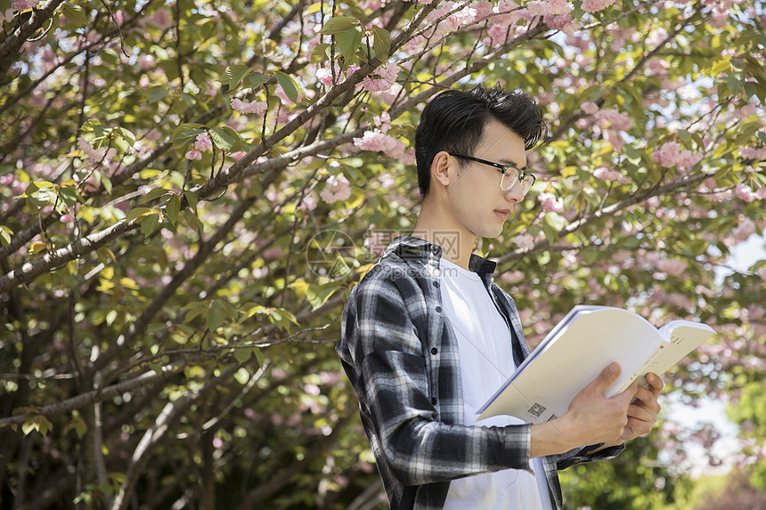 学生在认真阅读图片