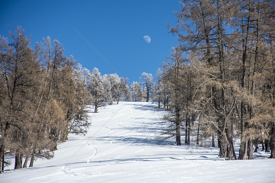 新疆冬季喀纳斯大美雪景图片