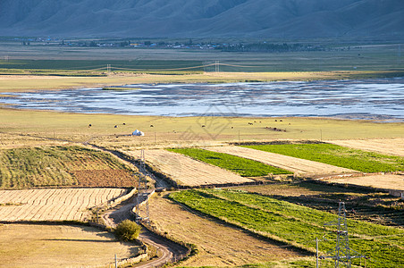 新疆湿地农田图片