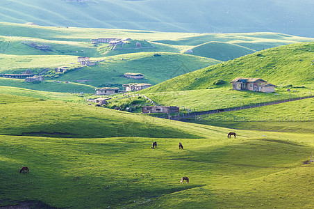 新疆天山牧场背景图片
