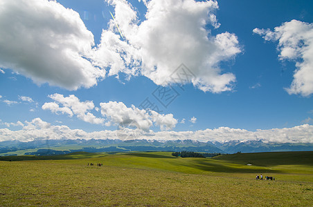 新疆天山牧场美景图片