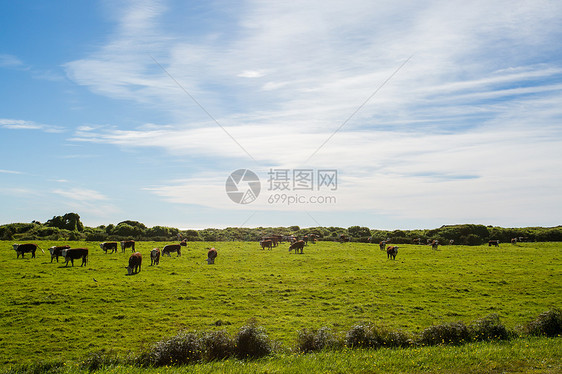 新西兰风景图片