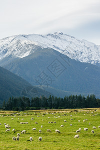 新西兰蓝天白云高清图片素材