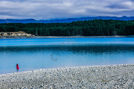 蒂卡波湖新西兰湖背景