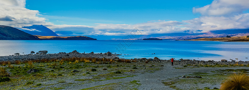 新西兰蒂卡波湖背景