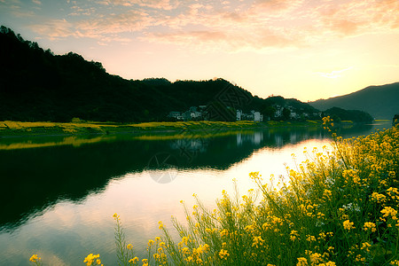 门源油菜花小山村晚霞背景