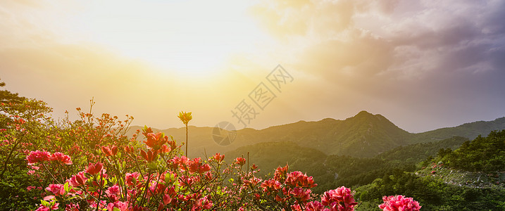 云雾城市武汉云雾山黄昏美景背景