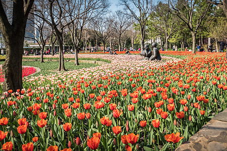 红草上海静安雕塑公园郁金香展背景