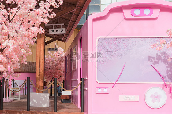 樱花列车图片