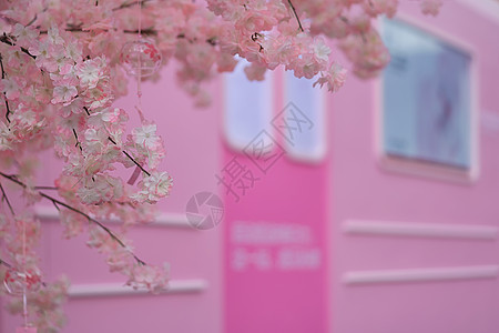 樱花列车粉色少女高清图片