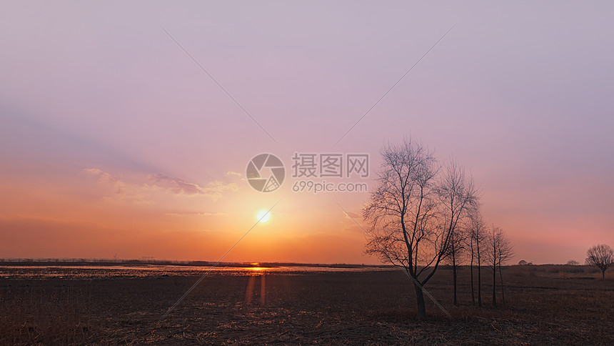 上海崇明湿地公园图片