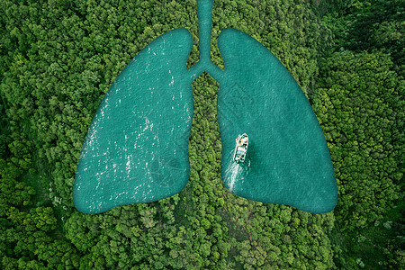 肺部健康呼吸背景图片
