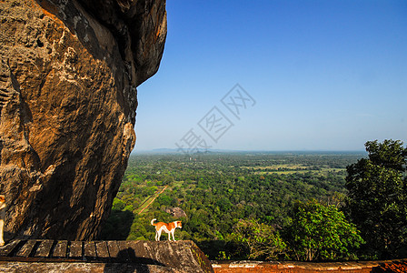 斯里兰卡文化斯里兰卡锡吉里亚古城背景