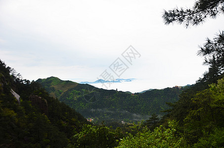 九华山春景图片