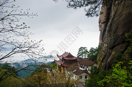 九华山大佛九华山春景背景