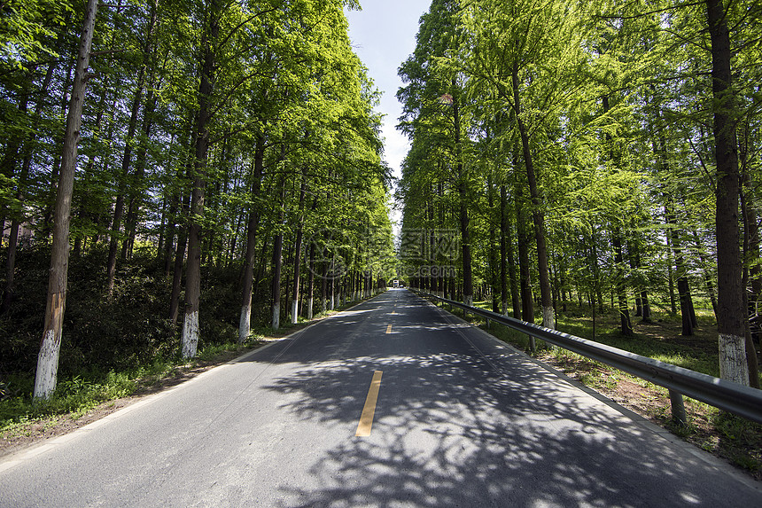 最美公路图片