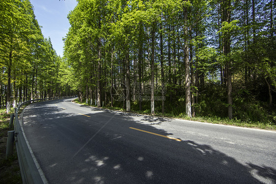 最美公路图片