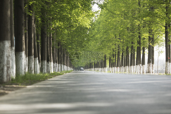 最美公路图片