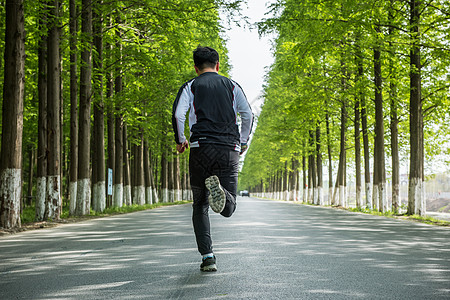 森林跑步户外跑步背景