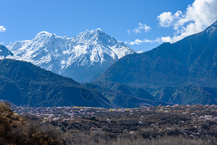 林芝雪山西藏风景高清图片