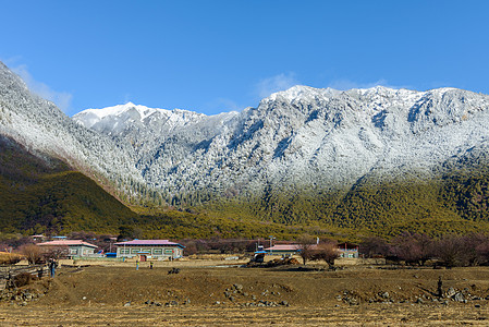 林芝雪山图片