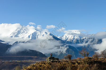 山上树林林芝雪山背景