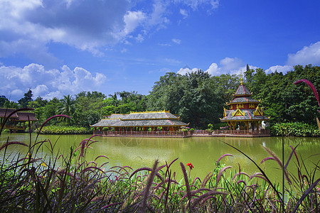 泼水节西双版纳曼听公园背景