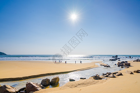 海南椰子树海南博鳌自然风光背景