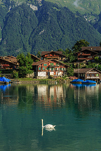 瑞士因特拉肯湖风光图片