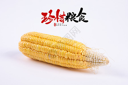 玉米棒节约粮食设计图片