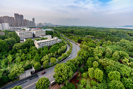 城市绿肺背景图片