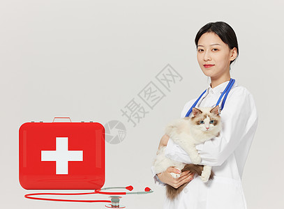 猫宠物医疗设计图片