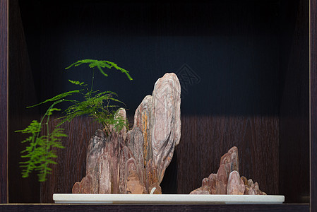 中式审美室内盆景图片