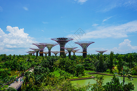 绿色植物标志新加坡背景