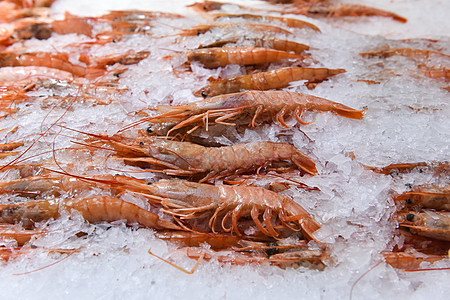 超市冰柜里的基围虾食材高清图片素材