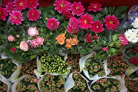花市卖花背景图片