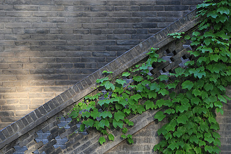 双龙寺荐福寺外的墙面和叶子背景