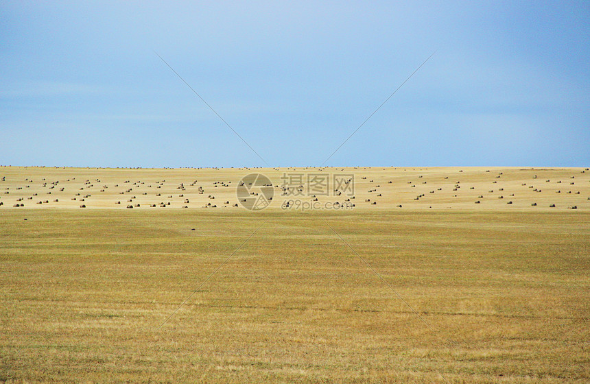 内蒙古呼伦贝尔草原图片