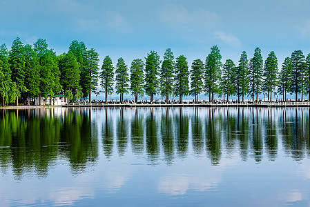 武汉东湖风景区绿荫道高清图片