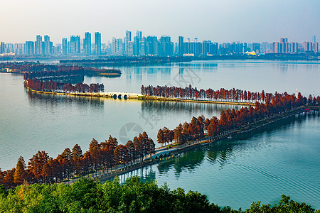 锦城绿道武汉东湖风景区绿道背景