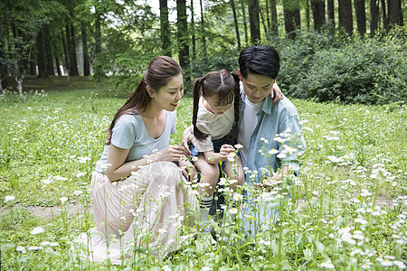 家庭亲子在花丛中图片