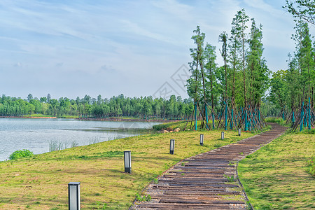 空气清新湖边适合散步的小路背景