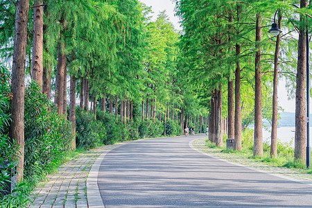 骑行道路武汉东湖骑行绿道背景