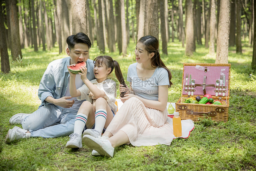 一家人郊游在森林公园里野餐图片