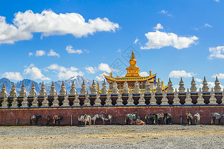 塔公草原蓝天白云下的塔公寺背景